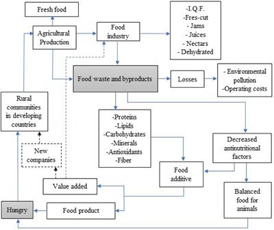 Food Waste and Byproducts: An Opportunity to Minimize Malnutrition and Hunger in Developing Countries